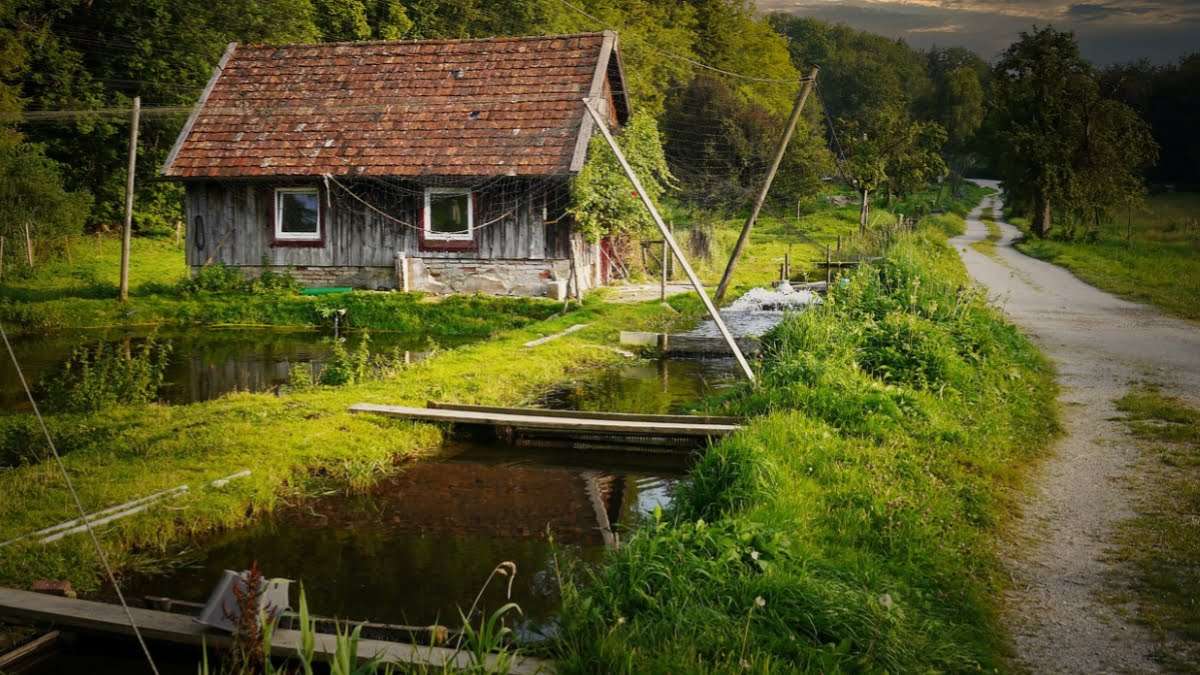 āĻŦāĻŋāύāĻŋā§ā§āĻ āĻāĻžā§āĻžāĻ āϏā§āϰāĻž ā§§ā§ĻāĻāĻŋ āĻŦā§āϝāĻŦāϏāĻž āĻāĻāĻĄāĻŋā§āĻž āĻŽāĻžāĻ āĻāĻžāώ āĻŦāĻā§āĻāĻāĻžāώāĻž