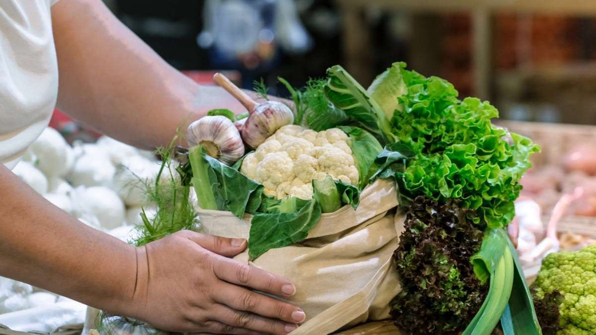 কম বাজেটের ব্যবসা আইডিয়া