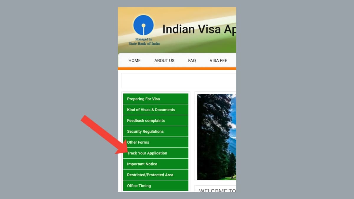 Rules for checking visa by passport number 2024