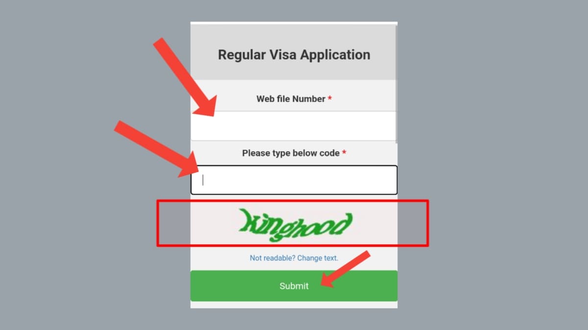 পাসপোর্ট নাম্বার দিয়ে ভিসা চেক ২০২৪ বঙ্গভাষা