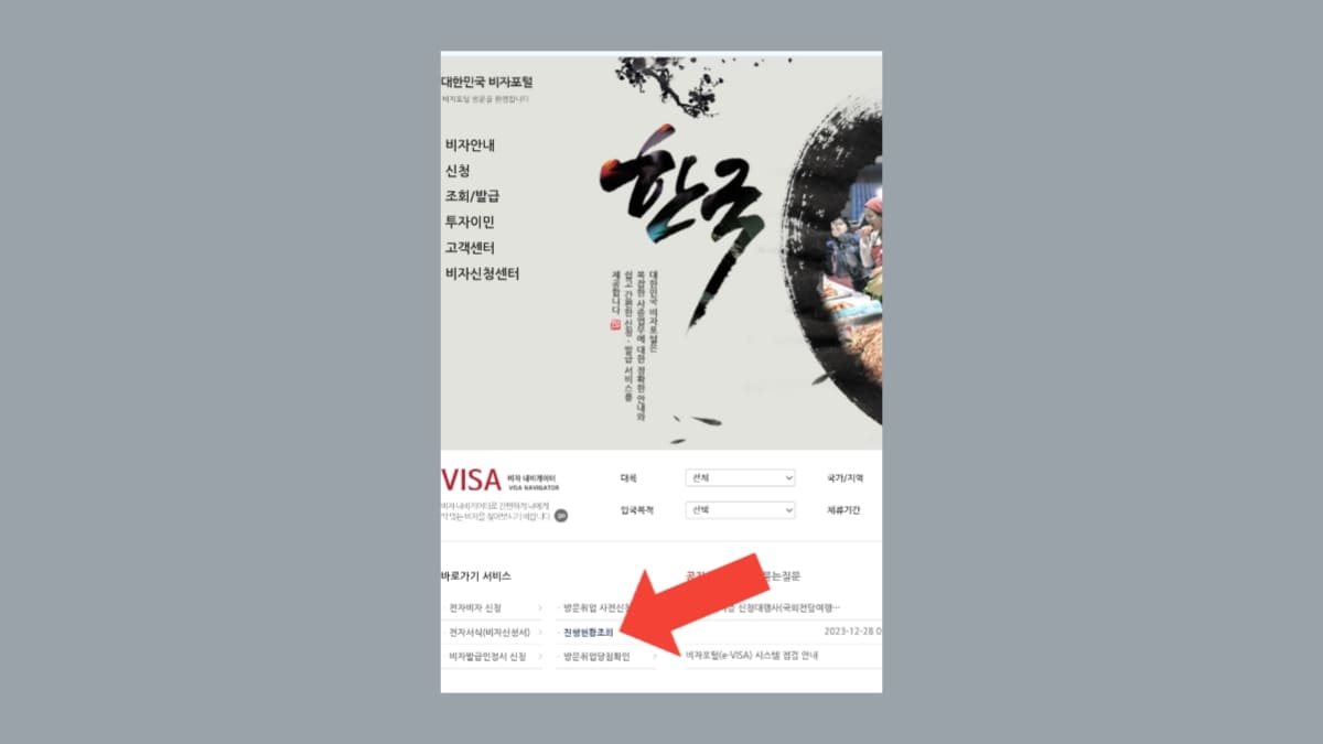 পাসপোর্ট নাম্বার দিয়ে ভিসা চেক করার নিয়ম ২০২৫ / সকল দেশের ভিসা 