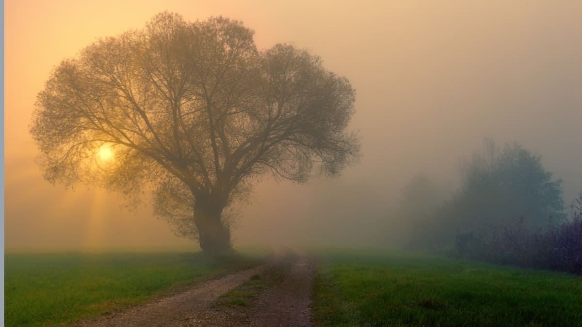 শীত কখন কমবে