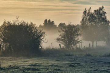 আজকের শীতের আবহাওয়া (বঙ্গভাষা)
