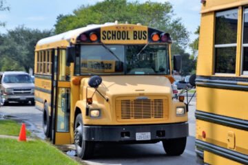 ড্রাইভিং লাইসেন্স ভুল সংশোধন