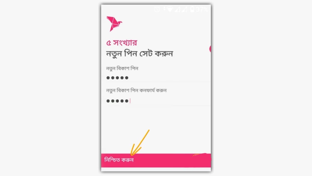 নতুন বিকাশ পিস সেট করুন