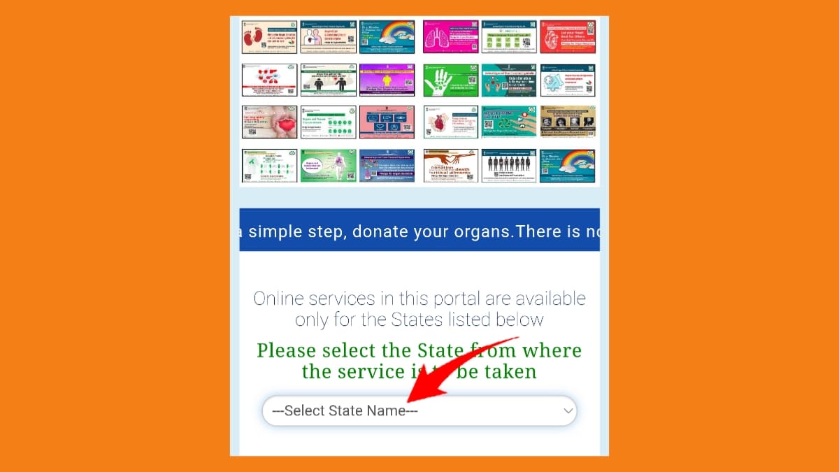 ড্রাইভিং লাইসেন্স চেক করার নিয়ম