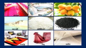 বাংলাদেশের জি আই পণ্য তালিকা