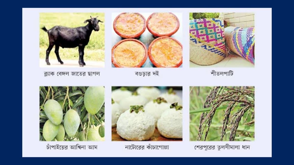 জি আই পণ্য তালিকা