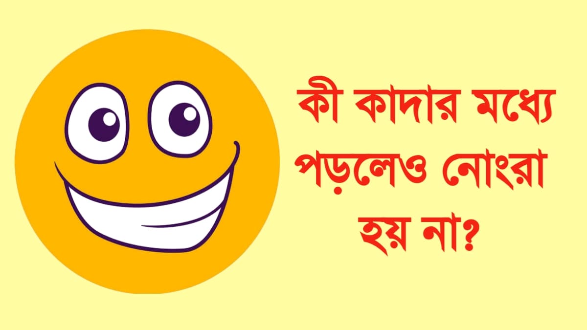 ১৫০টি বুদ্ধির ধাঁধা উত্তর সহ ছবি