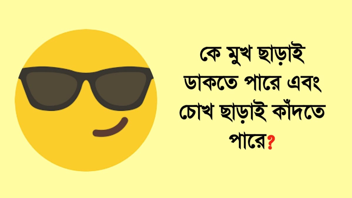 ১৫০টি বুদ্ধির ধাঁধা উত্তর সহ ছবি