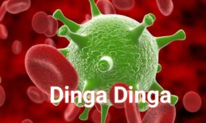 ডিঙ্গা ডিঙ্গা ভাইরাসের লক্ষণ ও প্রতিকার