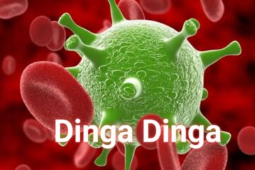 ডিঙ্গা ডিঙ্গা ভাইরাসের লক্ষণ ও প্রতিকার