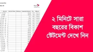 বিকাশ স্টেটমেন্ট দেখার নিয়ম