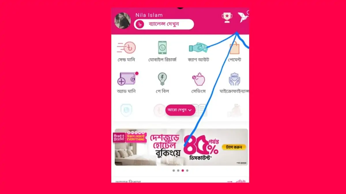 বিকাশ স্টেটমেন্ট দেখার নিয়ম 