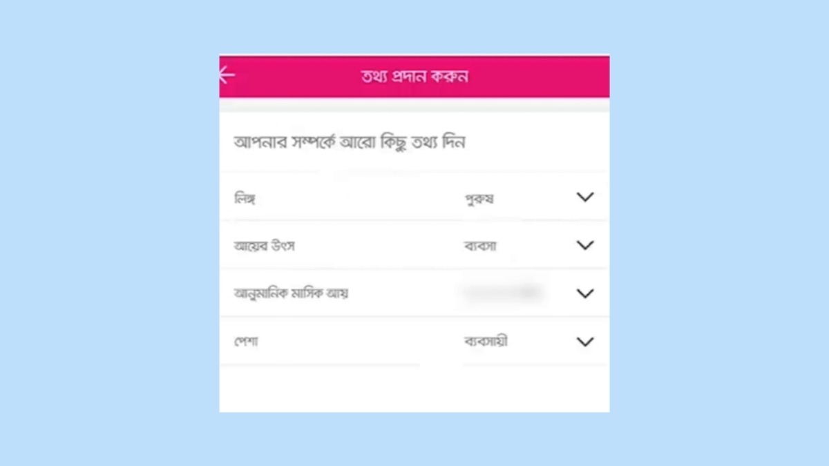 বিকাশ থেকে লোন