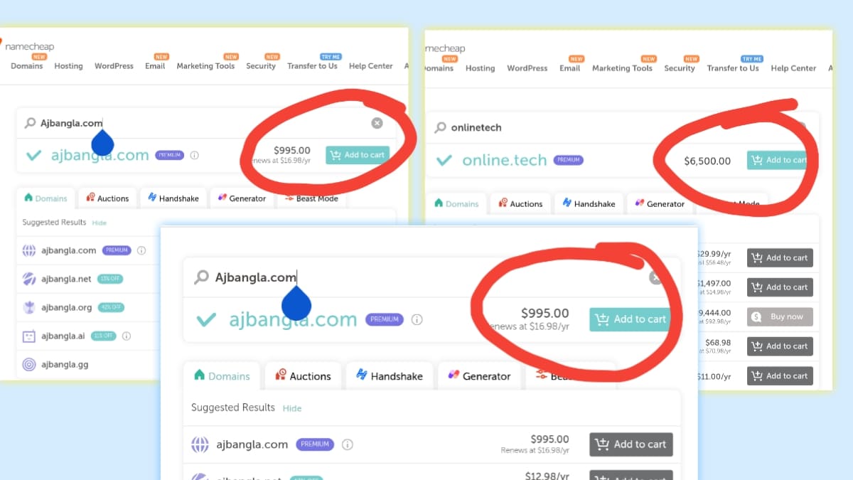 ডোমেইন নাম বিক্রি করে ইনকাম