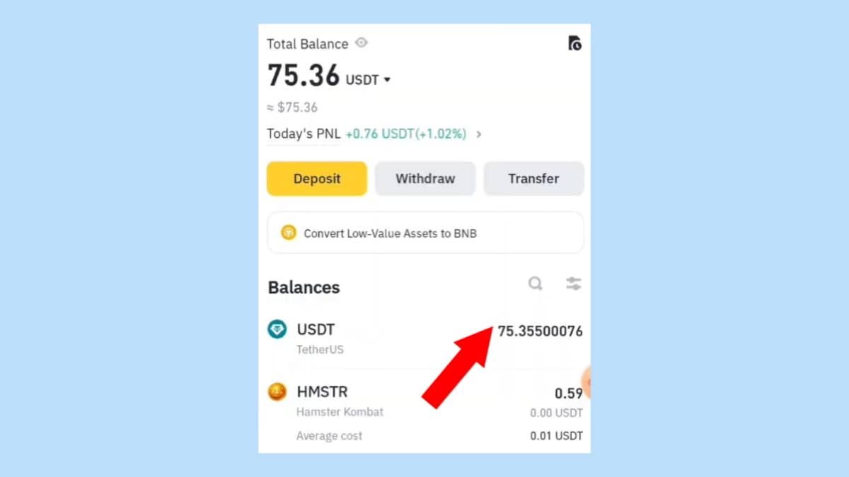 বাইনান্স থেকে বিকাশে টাকা উত্তোলন