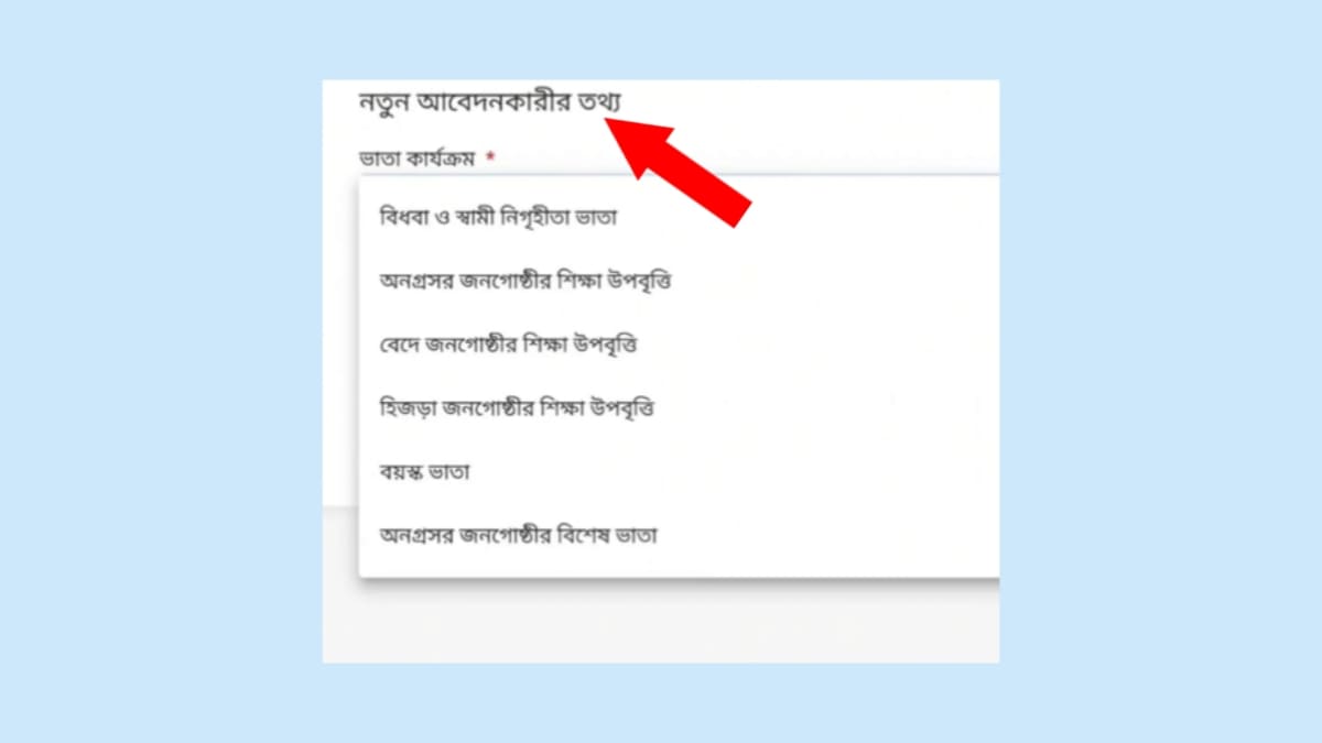 বয়স্ক ভাতা অনলাইন আবেদন 