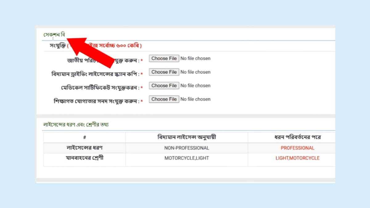 অপেশাদার থেকে পেশাদার ড্রাইভিং লাইসেন্স