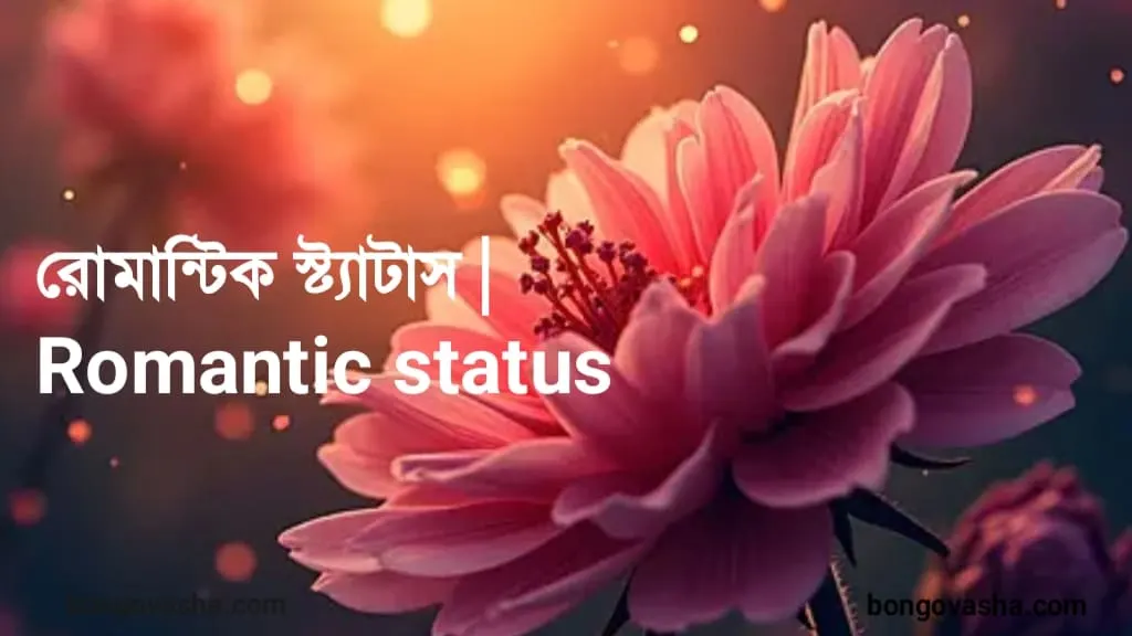 রোমান্টিক স্ট্যাটাস