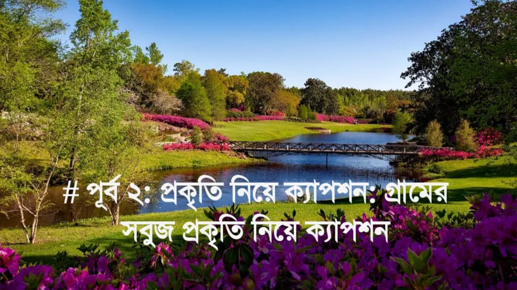 প্রকৃতি নিয়ে ক্যাপশন