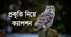 প্রকৃতি নিয়ে ক্যাপশন