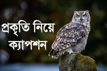 প্রকৃতি নিয়ে ক্যাপশন