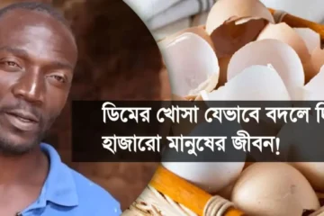 ফেলে দেওয়া ডিমের খোসা বদলে দিলো হাজারো পরিবারের জীবন