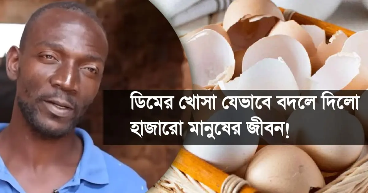 ফেলে দেওয়া ডিমের খোসা বদলে দিলো হাজারো&hellip;