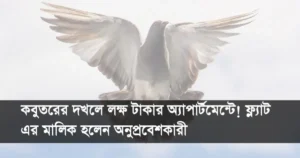 কবুতরের দখলে লক্ষ টাকার অ্যাপার্টমেন্টে