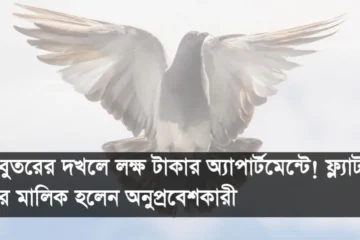 কবুতরের দখলে লক্ষ টাকার অ্যাপার্টমেন্টে