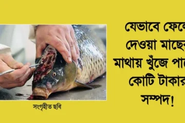 ফেলে দেওয়া মাছের মাথায় মিলছে কোটি টাকার সম্পদ!